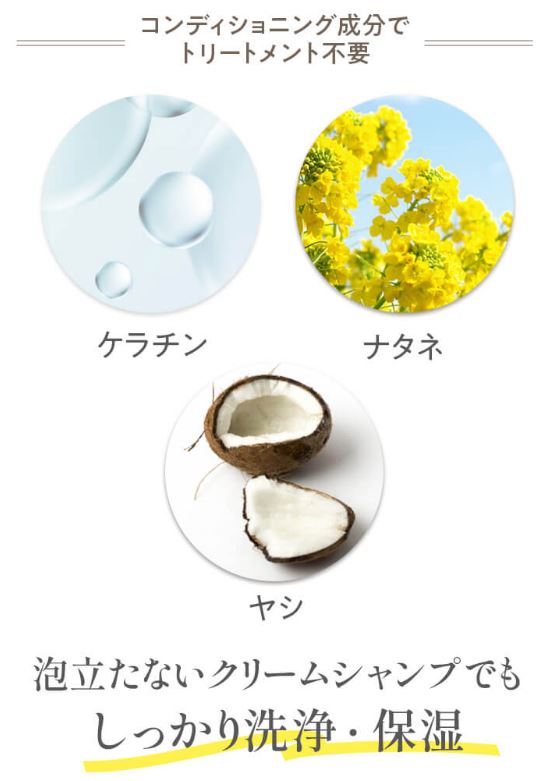 コンディショニング成分でトリートメント不要の成分